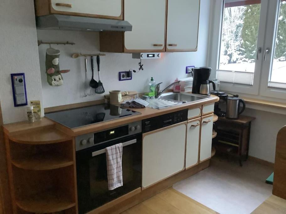 Ferienwohnung Apartment Doppelzimmer In Der Villa Naturpark Rheinblick, Ruhig, Aussicht, Pool Coblença Exterior foto