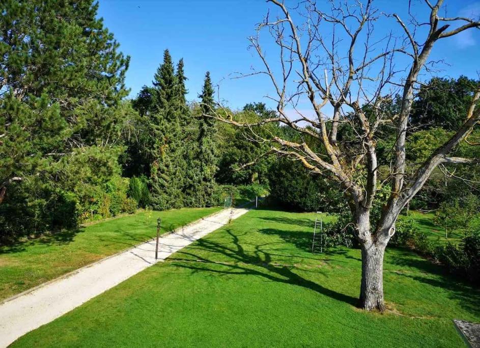 Ferienwohnung Apartment Doppelzimmer In Der Villa Naturpark Rheinblick, Ruhig, Aussicht, Pool Coblença Exterior foto