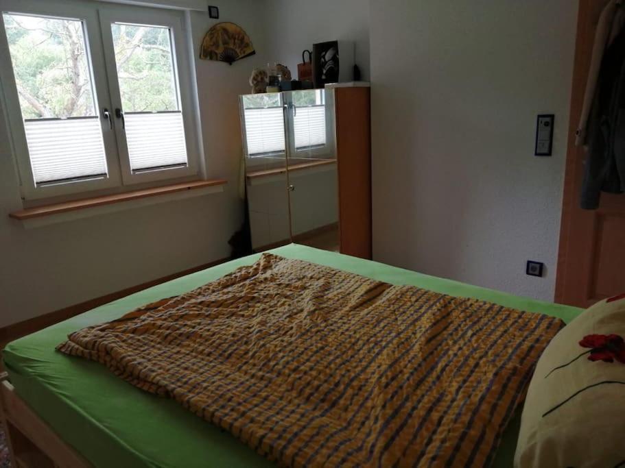 Ferienwohnung Apartment Doppelzimmer In Der Villa Naturpark Rheinblick, Ruhig, Aussicht, Pool Coblença Exterior foto