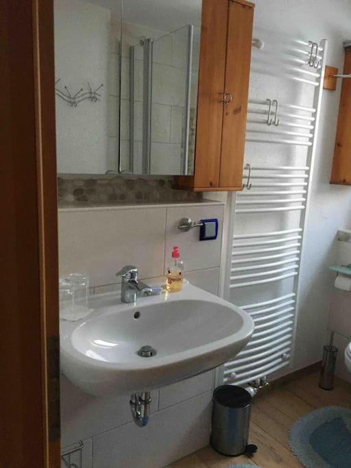 Ferienwohnung Apartment Doppelzimmer In Der Villa Naturpark Rheinblick, Ruhig, Aussicht, Pool Coblença Exterior foto