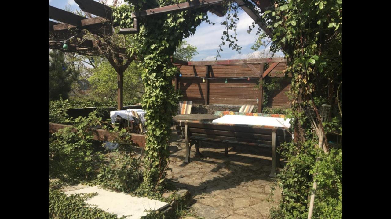 Ferienwohnung Apartment Doppelzimmer In Der Villa Naturpark Rheinblick, Ruhig, Aussicht, Pool Coblença Exterior foto